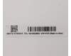 Lenovo 5H50S28962 Scharnier Scharnier C 81XE R/L W/Antenna