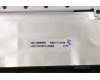 Lenovo 5M11C43608 MECH_ASM KB C EUROENG BKLT(PMX)PT US BK