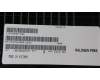 Lenovo 5M30Z71688 Arbeitsspeicher UDIMM,32GB, DDR5,4800 ,Samsung