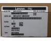 Lenovo 5M31L87427 Arbeitsspeicher UDIMM,32GB,DDR5,5600,Samsung