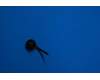 Lenovo 5M48C03566 YT3-X50 Mic&*26208078 CS