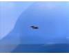 Lenovo 5M88C24237 TB330 POGO_BTB_Steel &*HQ26901001A00 CS