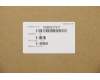 Lenovo 5SB0S31911 speaker B 81M5