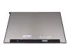 Acer Predator Triton 500 (PT516-51s) Original IPS Display (2560x1600) matt 165Hz