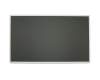 Alternative für Lenovo CN-0XM5XG TN Display (1366x768) matt 60Hz