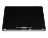 Apple A2179 (EMC 3302) Displayeinheit 13,3 Zoll (WQXGA 2560x1600) grau (Retina IPS True Tone TFT)