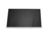 Asus 18010-17300100 original TN Display (1600x900) glänzend 60Hz