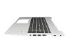HP ProBook 455 G6 Original Tastatur inkl. Topcase CH (schweiz) schwarz/silber