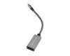 LG Gram 16 (16Z90RU) USB-C zu DP Adapter