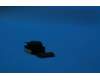 Lenovo SC29A6N500 camera&*P5V24C-201