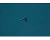 Lenovo SF78C04305 Yeti;SK FPC;0.3;2L;Thr-hole;N-EMI;JCD